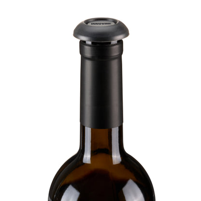 Vacuum Pump Stoppers, Set of 2